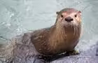 Zoo Ecomuseum © Zoo Ecomuseum