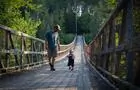 Passerelle suspendue&nbsp;&nbsp;&nbsp;&copy; Terfa