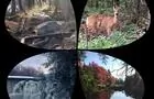 Quatre saisons © Parc Historique de la Poudrière de Windsor