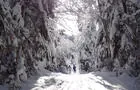 Ski de fond, Laurentides&nbsp;&nbsp;&nbsp;&copy; Parc régional de Val-David-Val-Morin