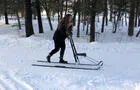 Trottinette des neiges&nbsp;&nbsp;&nbsp;&copy; S.Fournier