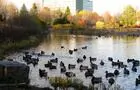Un magnifique parc au coeur de la ville&nbsp;&nbsp;&nbsp;&copy; D.Filteau