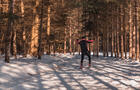 Chez Ti-Jean - 8 © Fabien Proulx-Tremblay