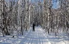 Forêt enneigée&nbsp;&nbsp;&nbsp;&copy; A.Giguère