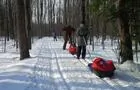 Skieurs avec traineaux&nbsp;&nbsp;&nbsp;&copy; Ski de fond Saint-François