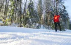 Ski de fond © MRC des Pays-d'en-Haut/A.Denis