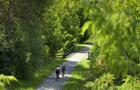 Végétation luxuriante&nbsp;&nbsp;&nbsp;&copy; Tourisme Montérégie