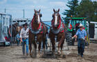 Tire de chevaux&nbsp;&nbsp;&nbsp;&copy; Artson Image