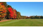 Aux couleurs d'automne