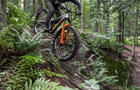 vélo de montagne