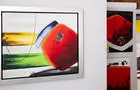 Peintre Marc DeBlois © Go-Xplore