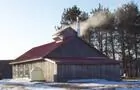 Cabane à sucre
