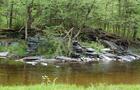 Sentier de randonnée Estrie&nbsp;&nbsp;&nbsp;&copy; Louise Galarneau
