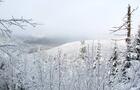 Paysage en hiver