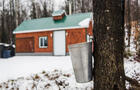 Cabane à sucre&nbsp;&nbsp;&nbsp;&copy; Escapade Huskimo