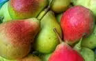 Délicieuses POIRES (plusieurs variétés) © Au Paradis des Fruits, Ferme ECOLOGIQUE