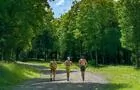 Course et randonnée, Mont Rigaud&nbsp;&nbsp;&nbsp;&copy; Mont Rigaud, Filip Musial