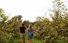 Potager Eardley © M. Paquette/Tourisme Outaouais