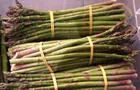 Asperges fraîches