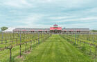 Vignes