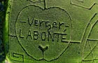Labyrinthe de maïs © Verger Labonté