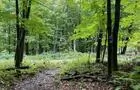 Randonnée pédestre&nbsp;&nbsp;&nbsp;&copy; Missisquoi Nord - Parcours de la vallée