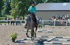 Équitation western