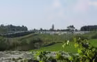 Vignes&nbsp;&nbsp;&nbsp;&copy; Vignoble Le Fief de la Rivière