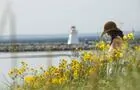 Phare