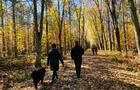 Parc régional de la Forêt Drummond