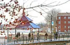 Sherbrooke hiver&nbsp;&nbsp;&nbsp;&copy; S.Duquette