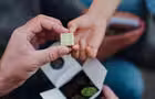 Chocolats forestiers&nbsp;&nbsp;&nbsp;&copy; Couleur Chocolat