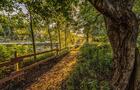 Parc des Deux Rivières&nbsp;&nbsp;&nbsp;&copy; S.Lafrance