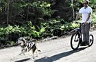 Cani-trottinette en été&nbsp;&nbsp;&nbsp;&copy; G.Fiset