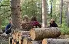 Observation faune, Saguenay-Lac-St-Jean © Bois rond expérience