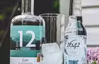 1642 Tonic&nbsp;&nbsp;&nbsp;&copy; S.Robini