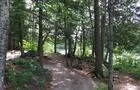 Sentier du parc du belvédère&nbsp;&nbsp;&nbsp;&copy; J.Bolduc