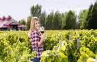 Terroir et gourmandises