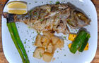 Poisson © M.Kanis