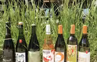 Sélection de vin © Deux