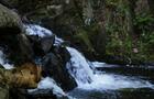 Cascade