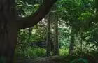 Le sentier du boisé&nbsp;&nbsp;&nbsp;&copy; DAPH & NICO