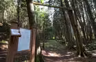 Sentier pédestre © Auberge du Portage