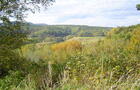 Paysage d'automne