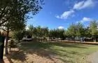 Terrains double voyageurs © Motel Camping le Survenant