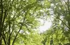 Camping Nature Plein air - Station O'Kataventures&nbsp;&nbsp;&nbsp;&copy; Camping Nature Plein air - Station O'Kataventures