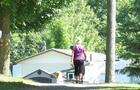 Les chiens sont les bienvenus