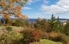 Vue du jardin