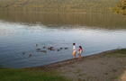 Sur le bord de l'eau