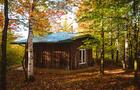 Chalet dans la nature&nbsp;&nbsp;&nbsp;&copy; Photo de Patrick Dezothez